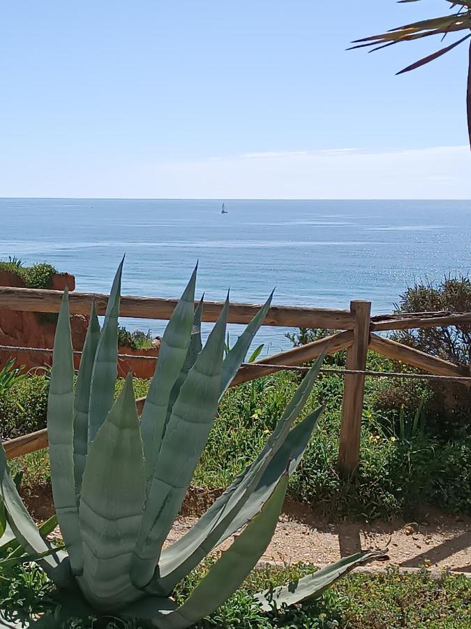 Mar A Vista Algarve Summer Portimão Exterior photo